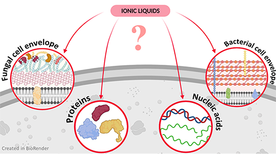 [Translate to English:] Ionic liquids