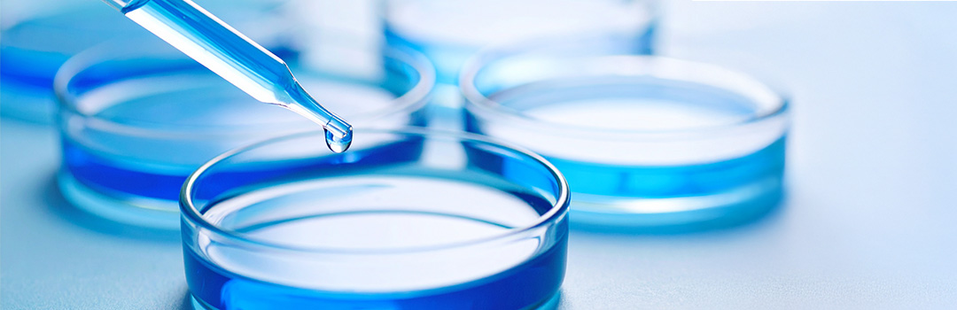 Tropfen wird aus einer Pipette in eine Petrischale mit blauer Lösung gegeben.